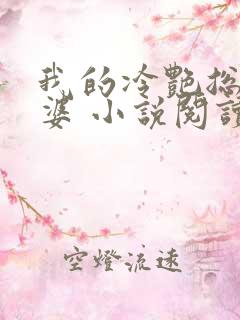 我的冷艳总裁老婆 小说阅读