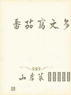 番茄写文多少钱