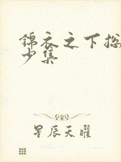 锦衣之下总共多少集