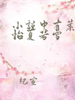 小说中有叶辰孙怡夏若雪