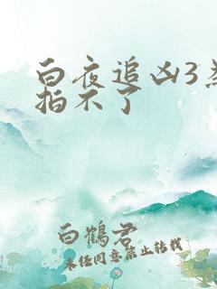 白夜追凶3为啥拍不了