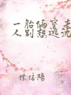 一胎俩宝老婆大人别想逃沈蔓歌