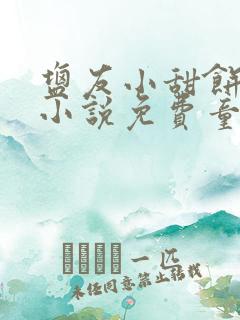 盐友小甜饼原著小说免费童阳
