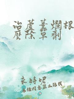 治芦苇烂根用什么除草剂