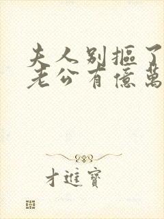 夫人别抠了,你老公有亿万家产