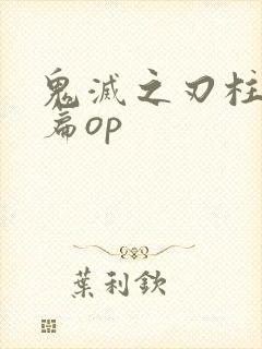鬼灭之刃柱训练篇op