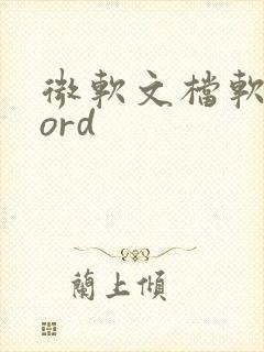 微软文档软件word