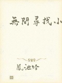 无间寻找小说