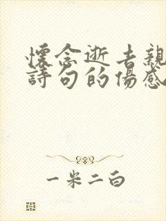 怀念逝去亲人的诗句的伤感句子