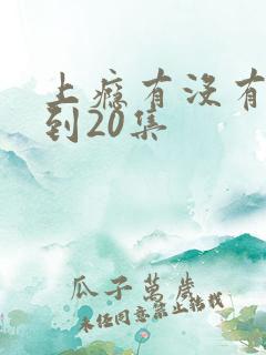 上瘾有没有16到20集