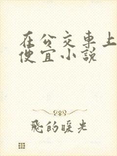 在公交车上被占便宜小说