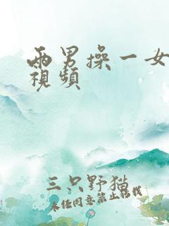两男操一女动态视频