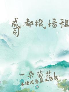 成都机场租车公司