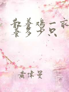 散养鸡一亩地能养多少只