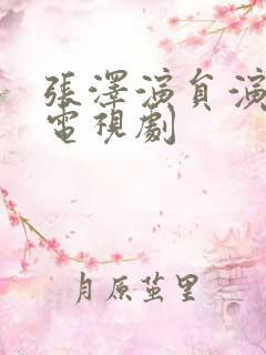 张泽演员演过的电视剧
