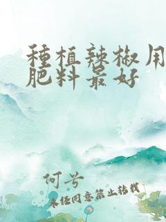 种植辣椒用什么肥料最好