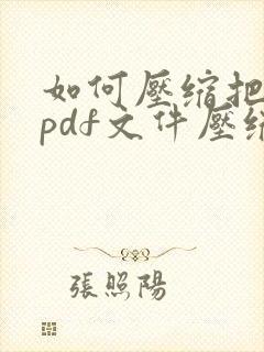 如何压缩把大的pdf文件压缩小