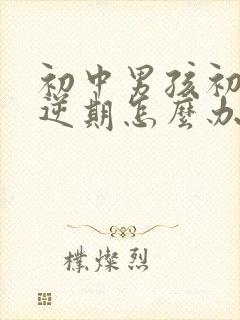 初中男孩初中叛逆期怎么办