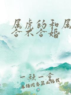 属虎的和属兔的合不合婚