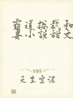 霸道总裁和小娇妻小说甜文