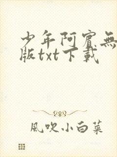 少年阿宾无删减版txt下载