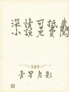 深情可抵岁月长小说免费阅读