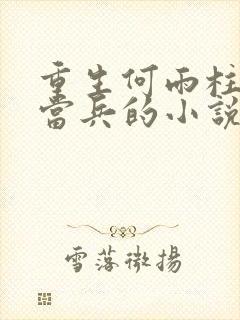 重生何雨柱大哥当兵的小说