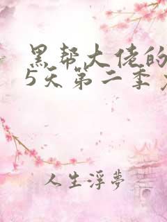 黑帮大佬的365天第二季免费观看
