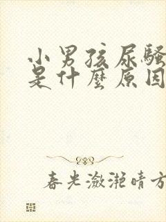 小男孩尿骚味重是什么原因