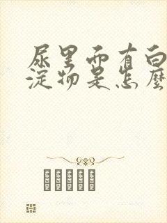 尿里面有白色沉淀物是怎么回事