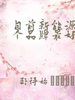 目前新能源车哪个品牌最好