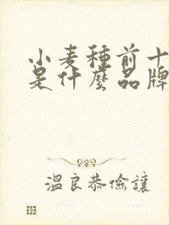 小麦种前十名的是什么品牌