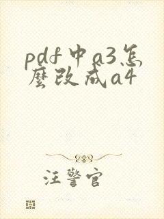 pdf中a3怎么改成a4