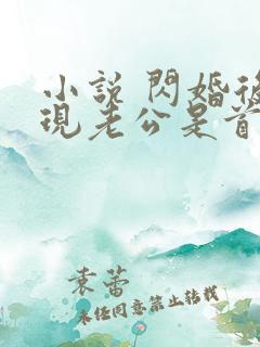 小说 闪婚后发现老公是首富大佬