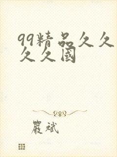 99精品久久久久久国