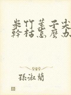 米竹叶子尖发黄干枯怎么办