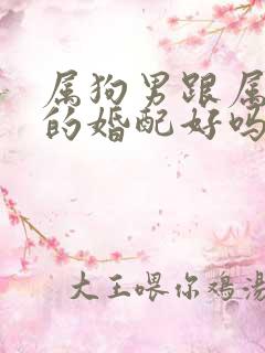 属狗男跟属牛女的婚配好吗