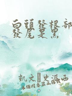 白头发根部白,发尾是黑