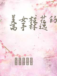 美女校花的贴身高手林逸