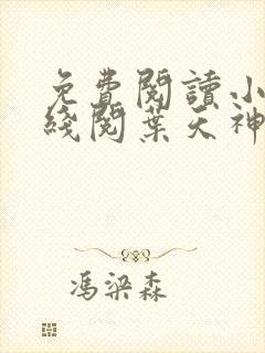 免费阅读小说在线阅叶天神
