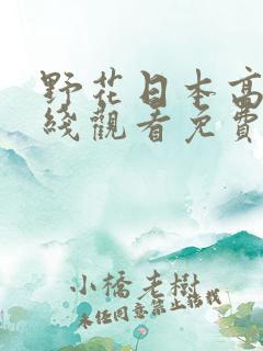 野花日本高清在线观看免费