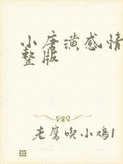 小唐璜感情史完整版