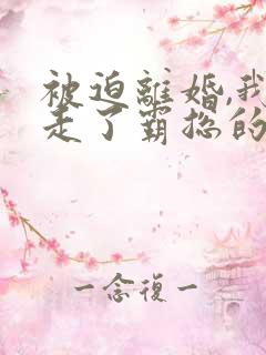 被迫离婚,我捡走了霸总的崽全文免费阅读
