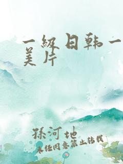 一级日韩一级欧美片
