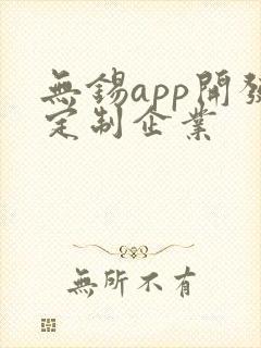 无锡app开发定制企业