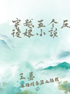 穿越五个反派的后娘小说