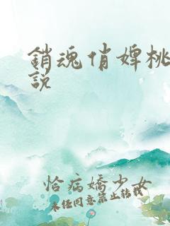 销魂俏婢桃儿小说