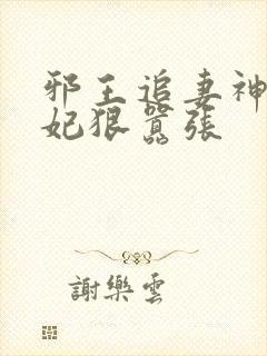 邪王追妻神医狂妃狠嚣张