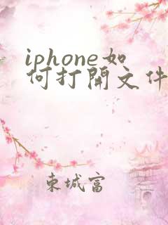iphone如何打开文件