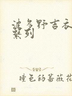 波多野吉衣人妻系列